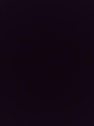 Ирина Дама фото 2